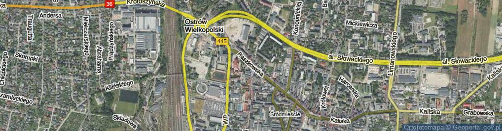 Zdjęcie satelitarne Raszkowska ul.